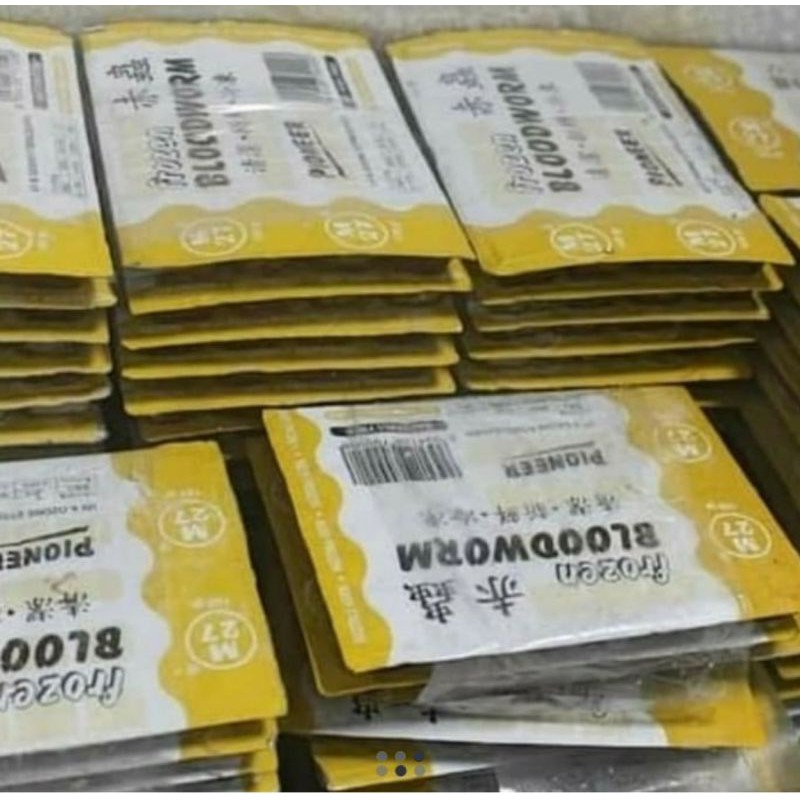 cacing beku/bloodworm