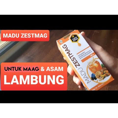 

Madu Zestmag 280 gr per botol untuk Lambung