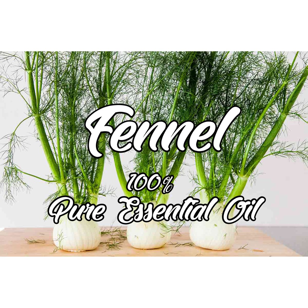Fennel 100% Pure Essential Oil 1 L