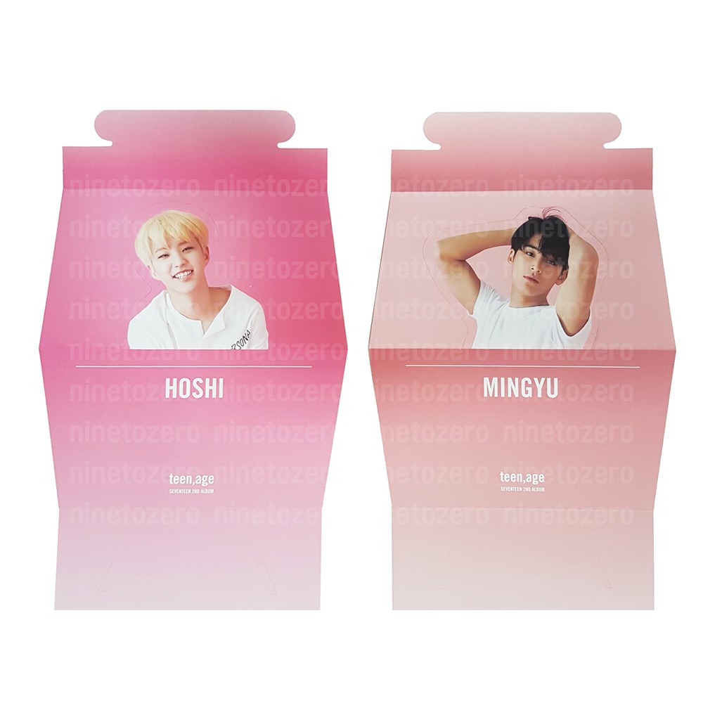 SEVENTEEN TEEN, AGE PORTRAIT DESKTOP STAND / STANDEE HOSHI MINGYU