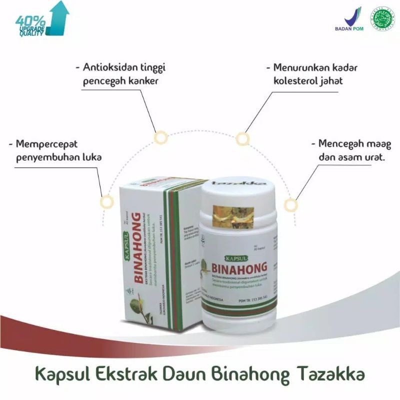 Daun Binahong Kapsul Ekstrak Asli | Obat Herbal Asam Urat Rematik dll