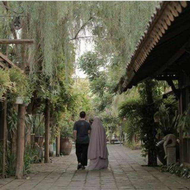 aoustencollectinivander