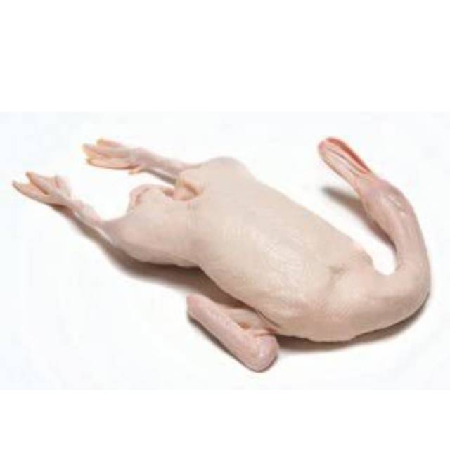 

Bebek Peking 1.000 gr ( 1 ekor )