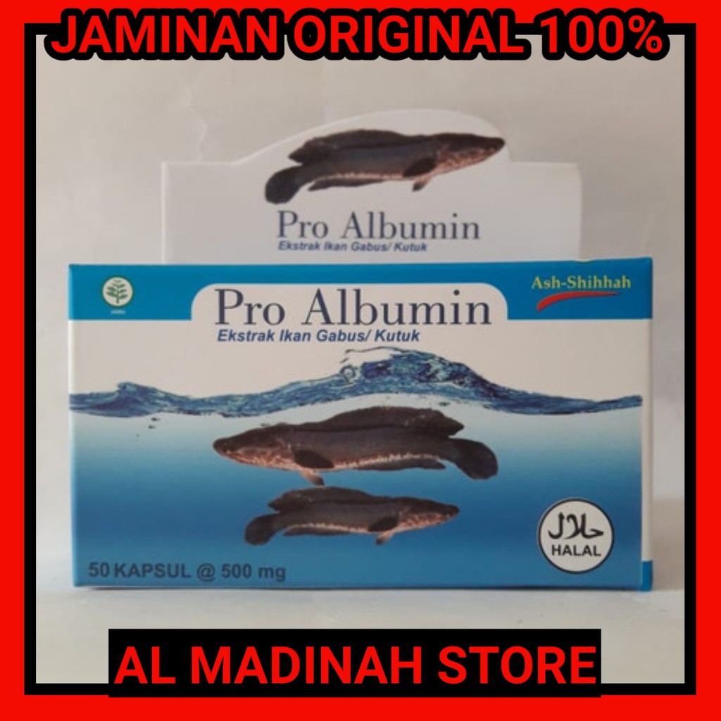 Pro Albumin 50 Kapsul Ekstrak Ikan Gabus / Ikan Kutuk LANGSUNG DARI PETANI Pro Al bumin ORIGINAL100%