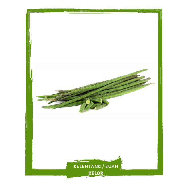 

Kelentang / Buah Kelor / Sayur Sayuran Segar By Mallahrizwa
