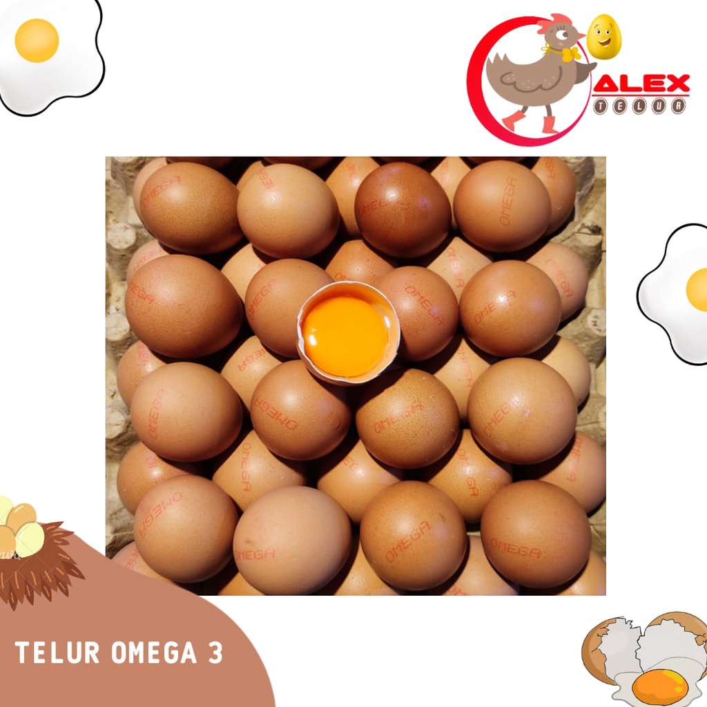 

Telur Omega 3 Per 30 Butir