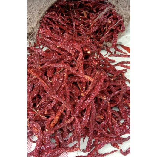 

Cabe Kering Keriting