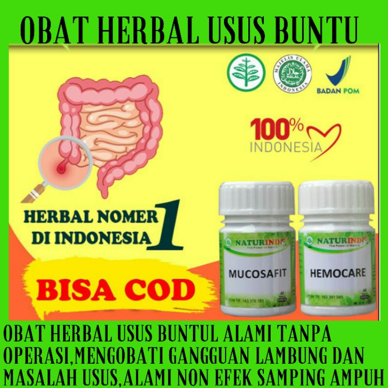 Obat Herbal Usus Buntu Alami Tampa Operasi 100%Hemocare Mucosafit Ampuh Obat Lambung Mual Perut Kemb
