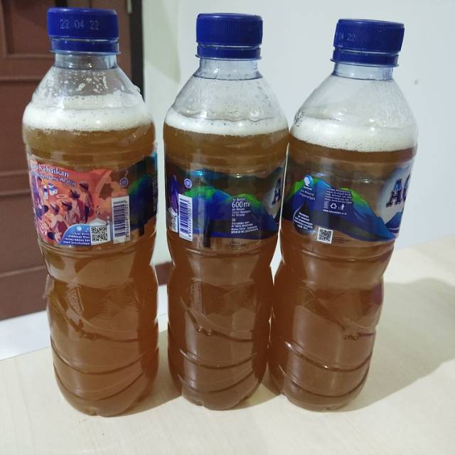 

Madu hutan kalimantan