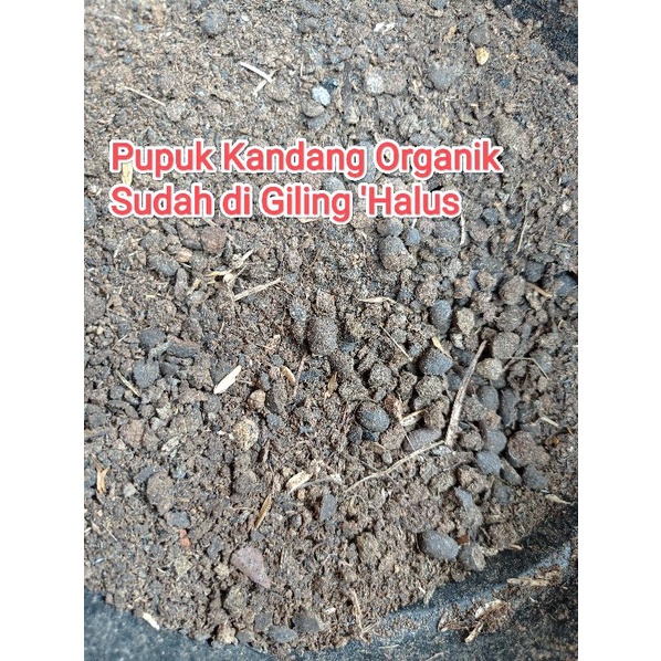 Pupuk Kandang / Pupuk Kandang Kambing Organik