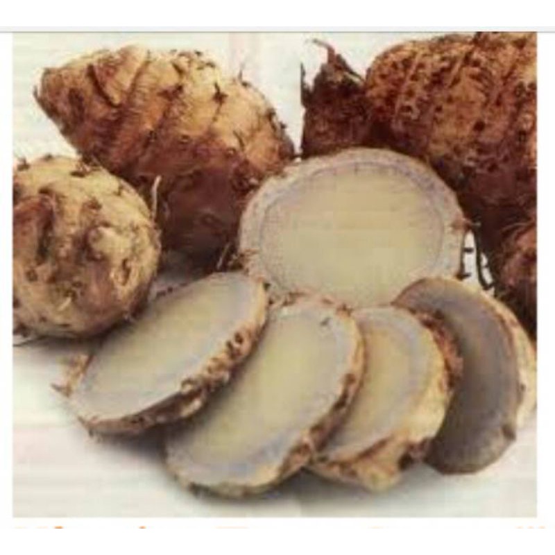 

1 kg Temu Hitam Segar Alami -Temu Ireng/Curcuma Aeruginosa