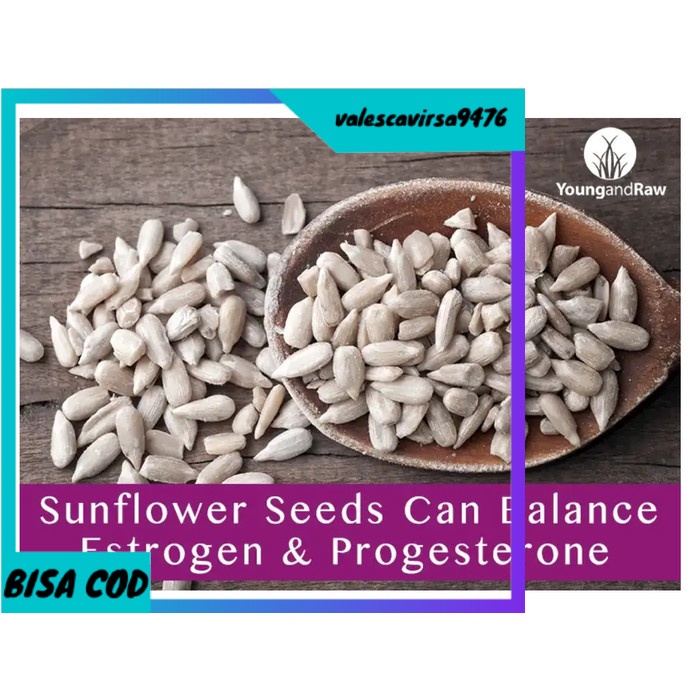 

⭐BISA COD⭐ Raw Sunflower Seed Kuaci Natural Biji Bunga Matahari Mentah 1kg 1000gr