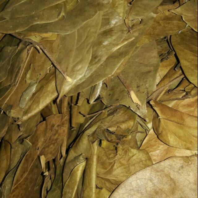 

DAUN SIRSAK KERING 250GRAM 250 GRAM