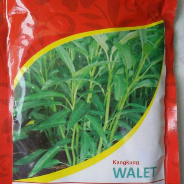 Benih Kangkung WALET 500 Gram