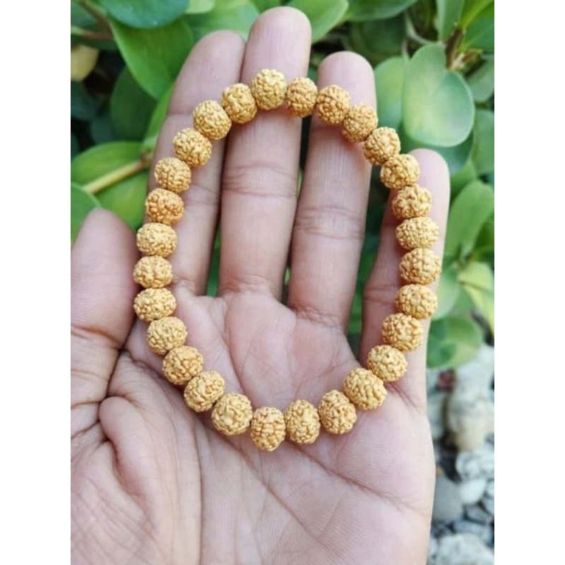 gelang biji jenitri rudraksha kecil