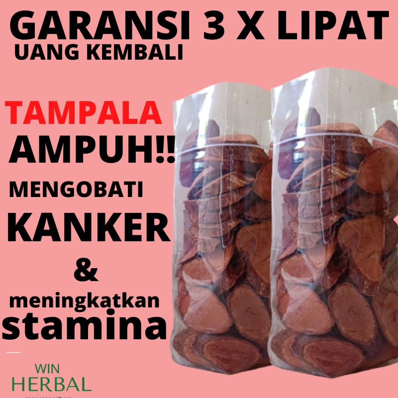 AKAR KAYU TEH HERBAL HERBALLIFE JAMU OBAT SUPLEMEN KESEHATAN  BAJAKAH BAJAKA TAMPALA TEMPALA  KALALAWIT KELALAWIT MERAH KUNING SUPER ASLI ORIGINAL  KALIMANTAN DAYAK OBAT KANKER TUMOR PAYUDARA KISTA MIOM SERVIK SERVIKS BENJOLAN WANITA PROSTAT PELANCAR HAID