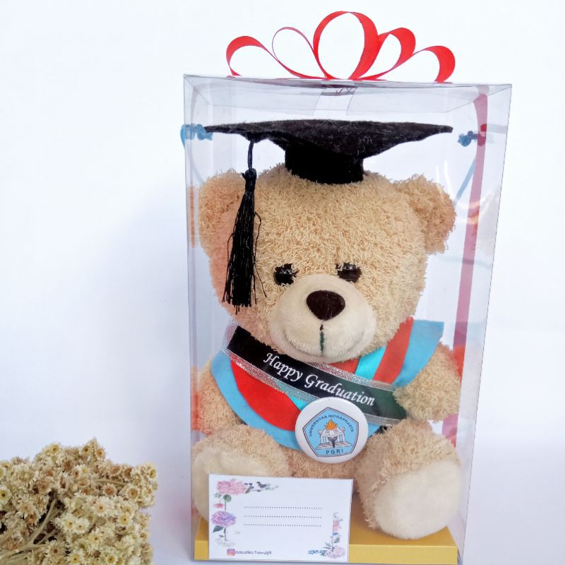 BONEKA WISUDA TEDDY BEAR 25CM PACKING KOTAK MIKA FREE KARTU UCAPAN