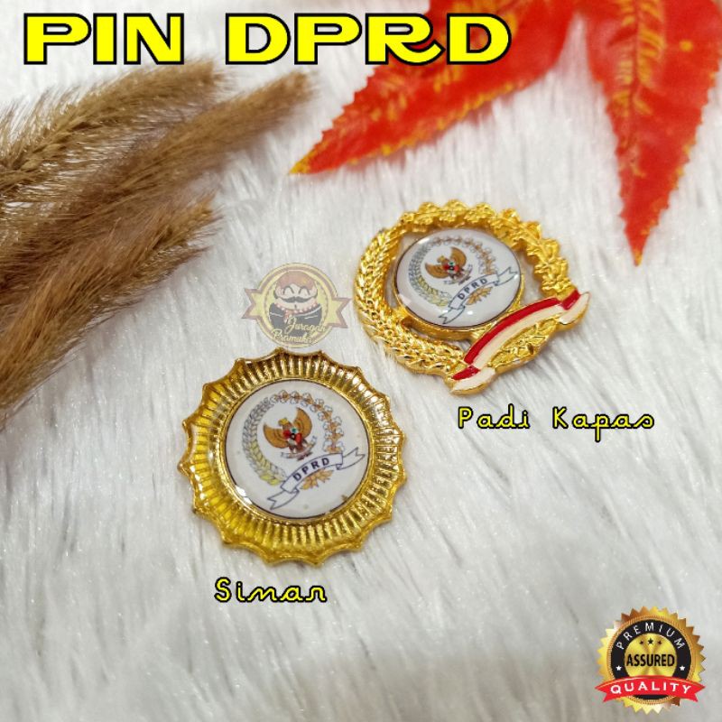 PIN DPRD