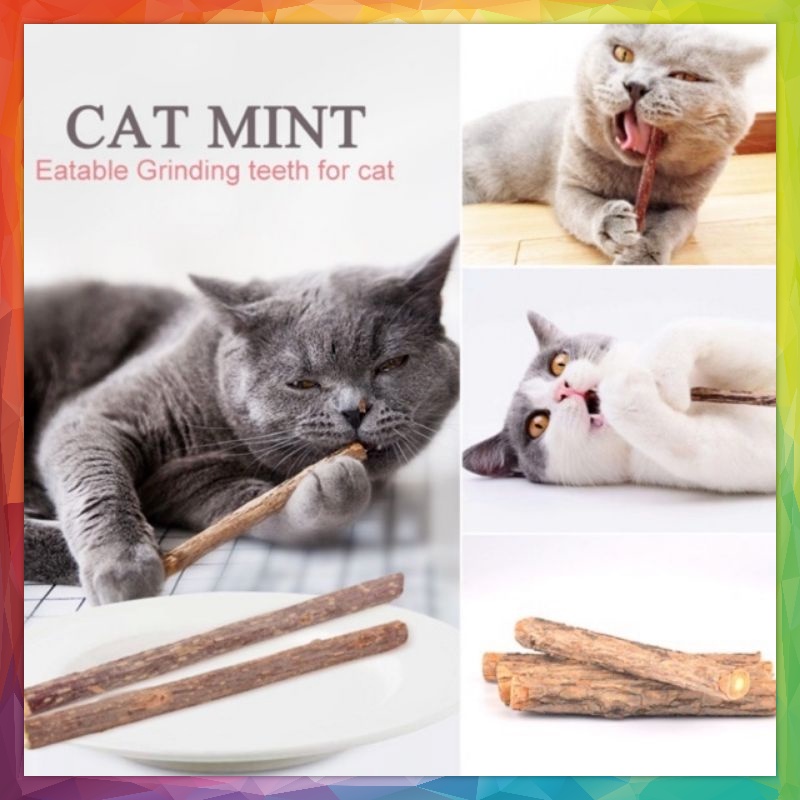 CATNIP STICK MATABI - Catnip Snack Makanan Kucing Kitten Cat Nip Stick