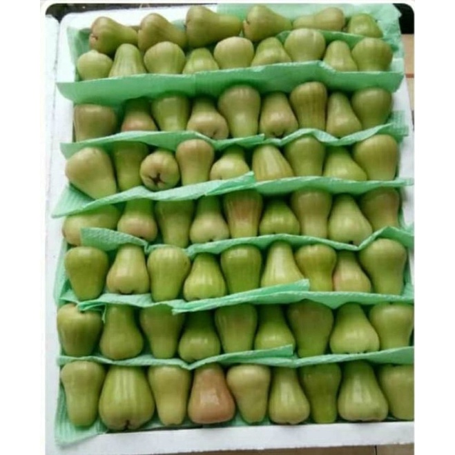 

jambu madu manis