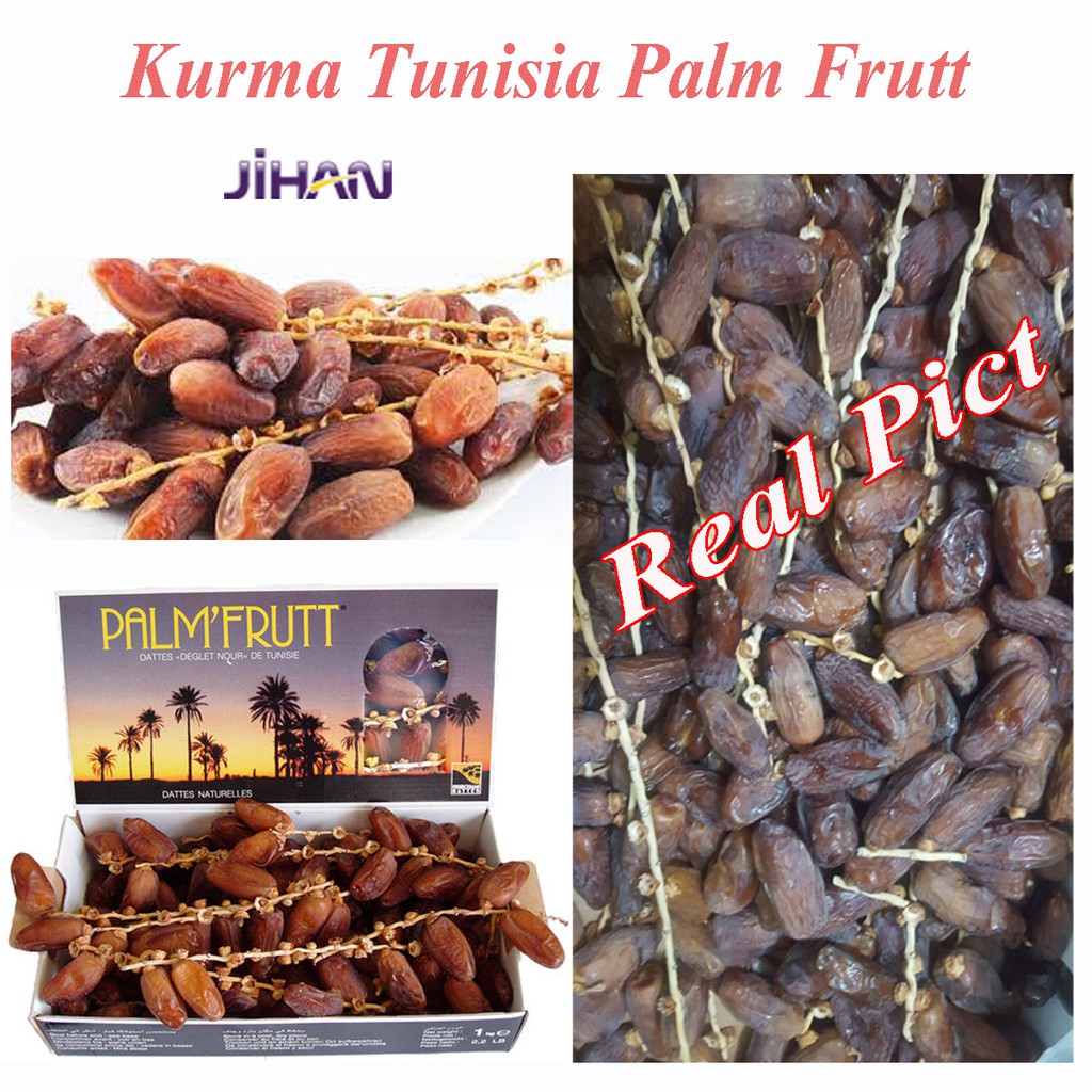 

Kurma Tunisia Palm Frutt