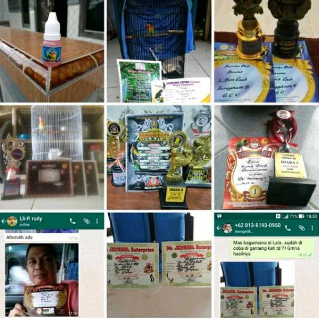 Doping burung lovebird Konslet Vitamin burung Lovebird konslet gacor Bisa COD