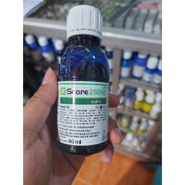 FUNGISIDA SCORE 80ml