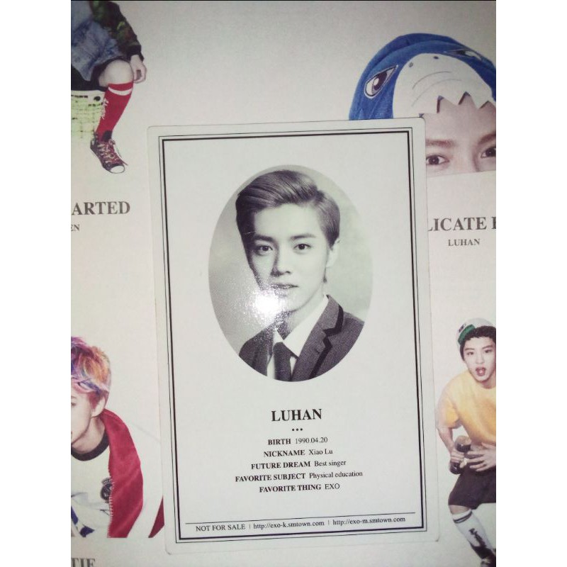 official photocard Luhan album Exo xoxo