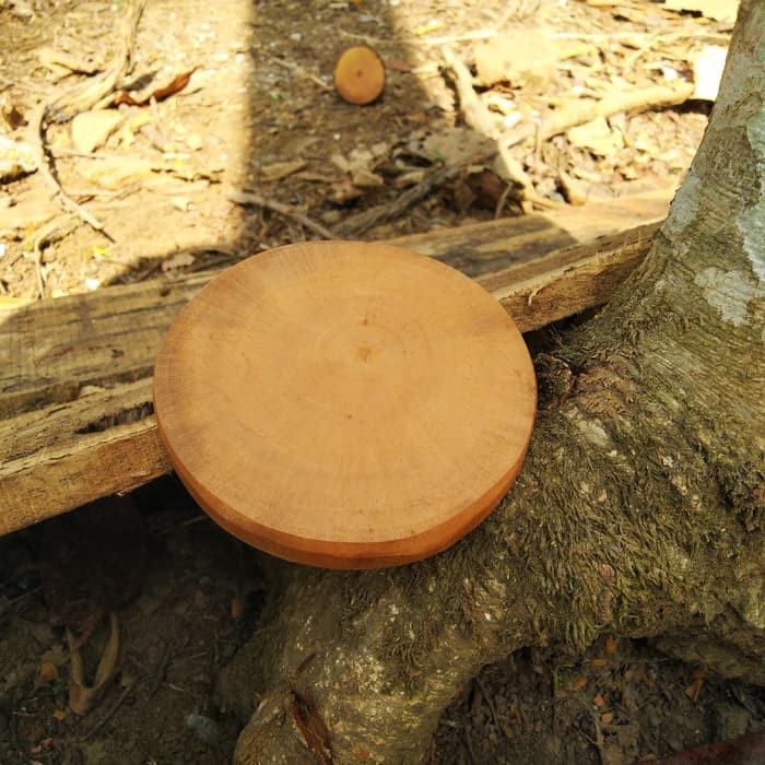 Tatakan tanpa kulit 9-10 cm coated kayu alami Natural wood coaster skinless tanpa kulit