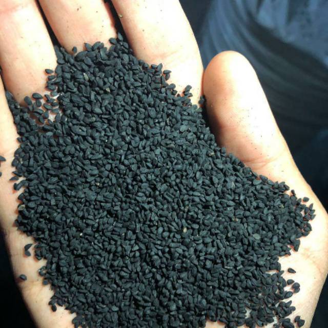

BIJI HABATASSAUDA/BIJI JINTEN HITAM 500gr/free chia seed 50gr
