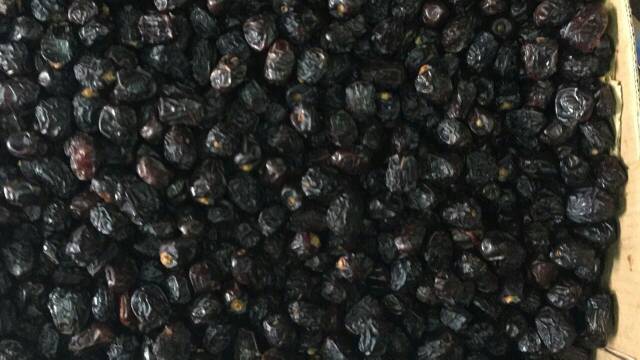 

Kurma ajwa kurma nabi asli madinah