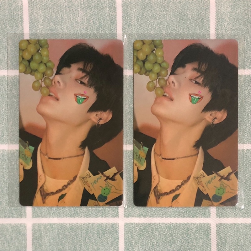 [READY STOCK] PC BENE BENEFIT SHOPEE SNOWGLOBAL BDC SUNGHOON ANGGUR