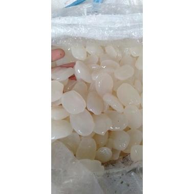 kolang Kaling fresh kolang kaling segar 1kg