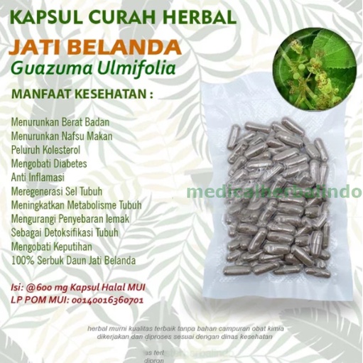 Kapsul Curah Herbal JATI BELANDA 600mg Pelangsing Kolesterol Diuretik