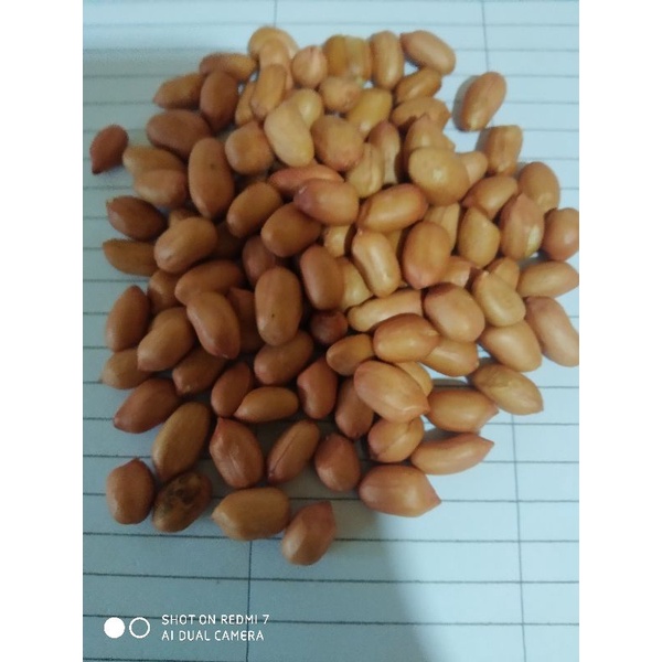 

kacang tanah lokal 60/70repack 500gr