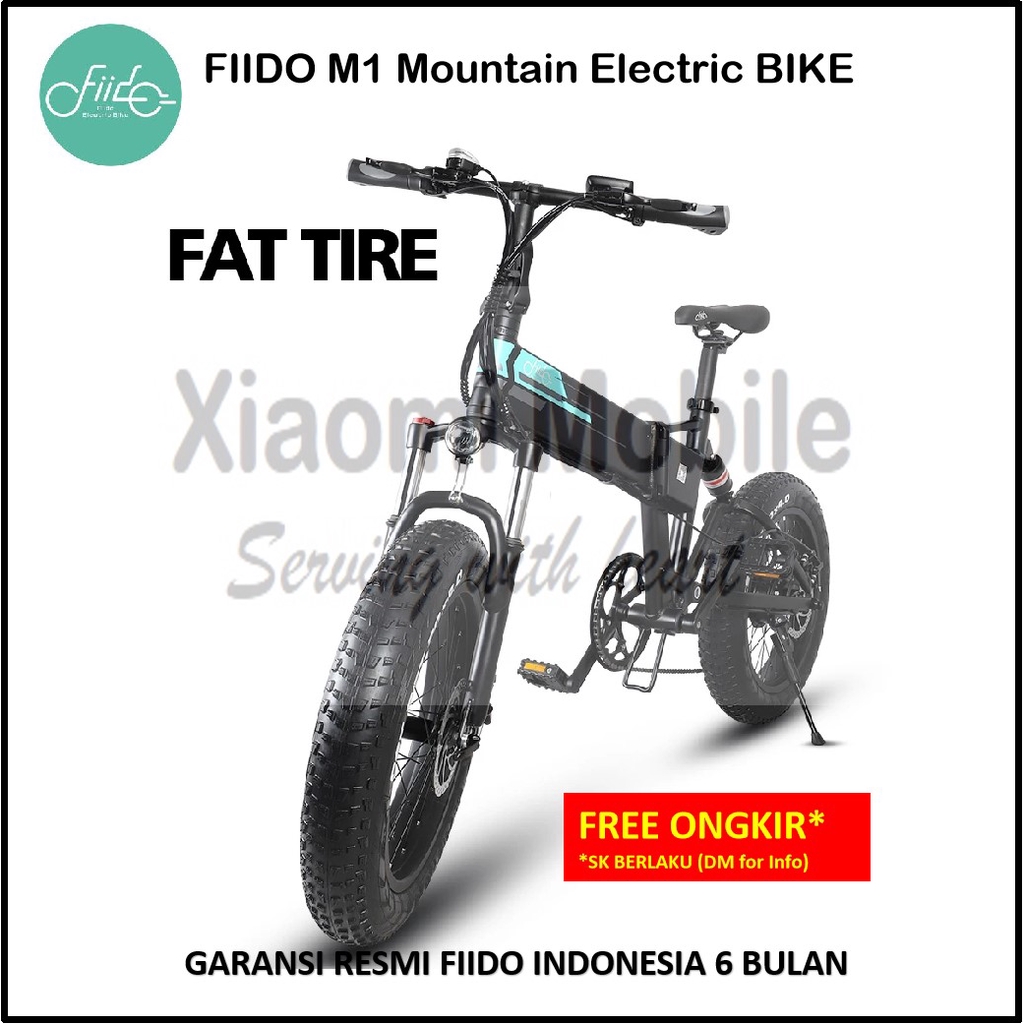 Fiido M1 Mountain Electric Bike 20 Inch Fat Tires 250W 7 Speeds Sepeda Lipat Garansi Resmi