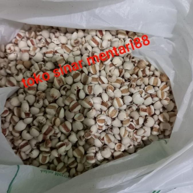 

Barley Super / Biji Jali Jali 500Gram