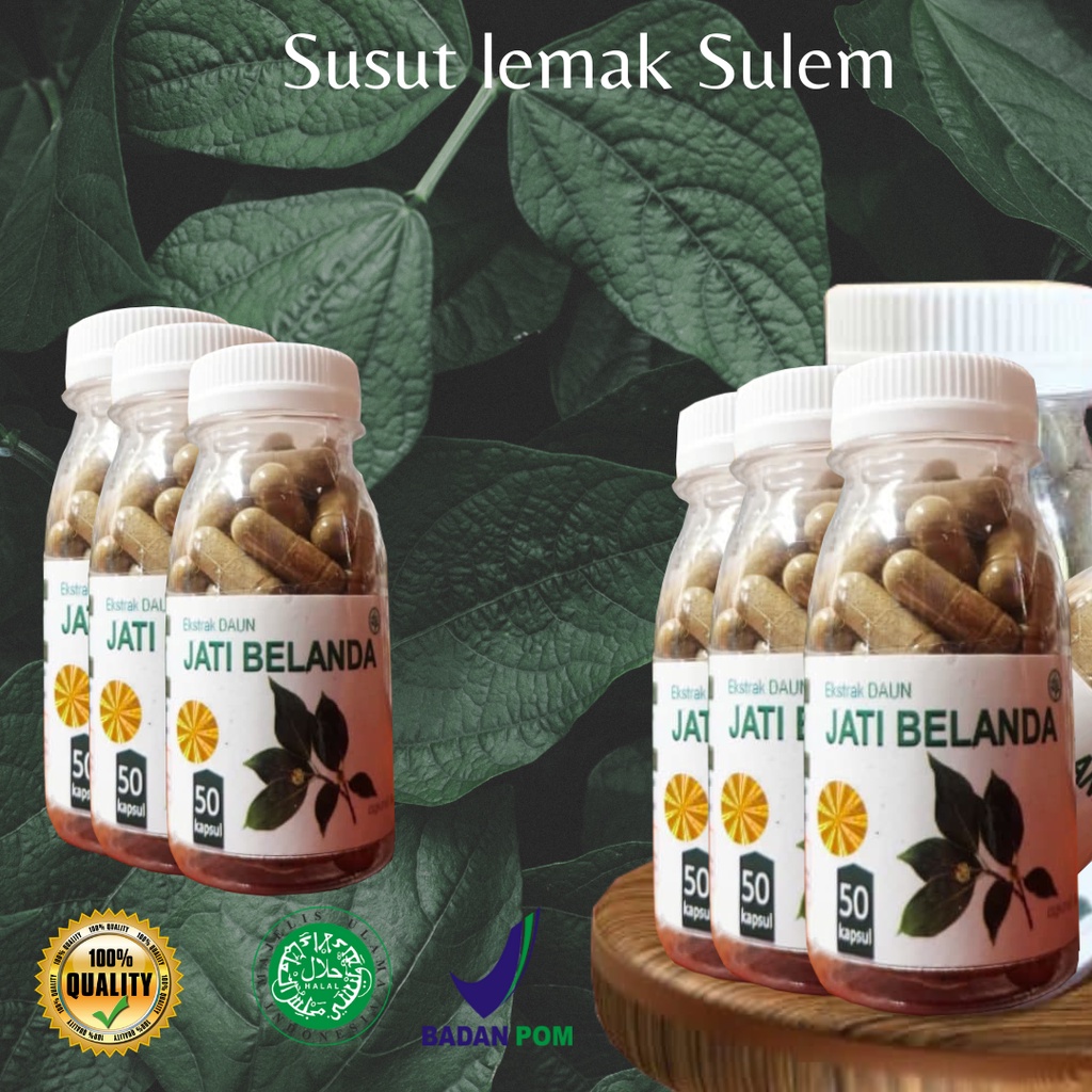 

Susut Perut Original 100%