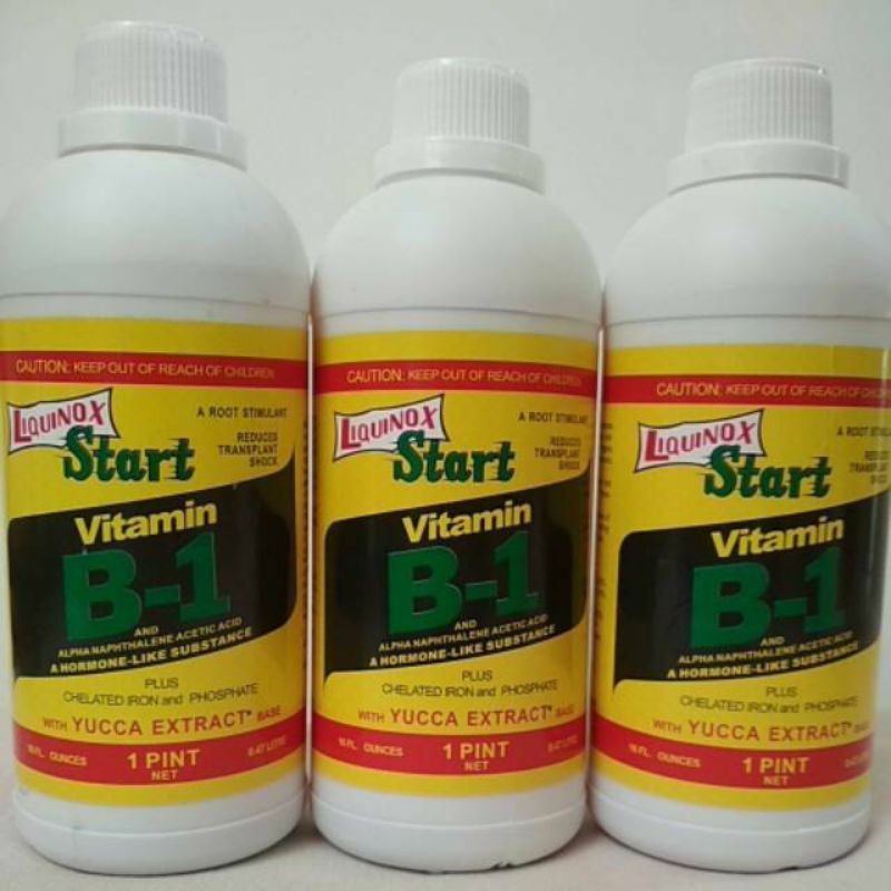 LIQUINOX VITAMIN B1 470 ML untuk tanaman