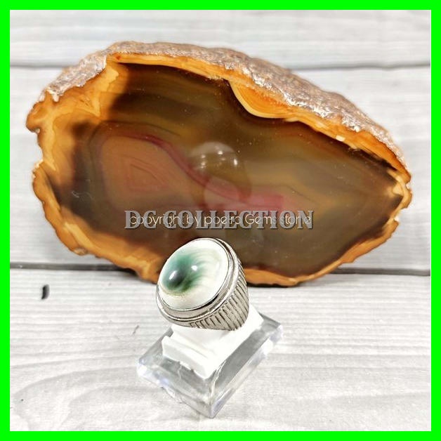 Cincin Natural Fosil Keong Kol-Buntet Shell Operculum