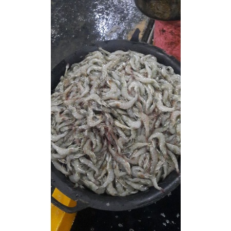 

Udang vanami isi 70-80 ekor