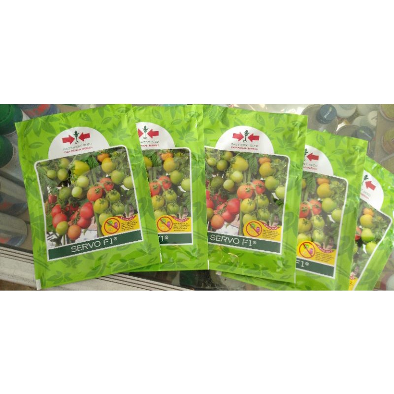 Benih Tomat Servo F1 Panah merah