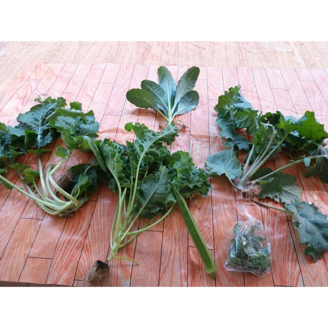 

Paket kale untuk diabetes