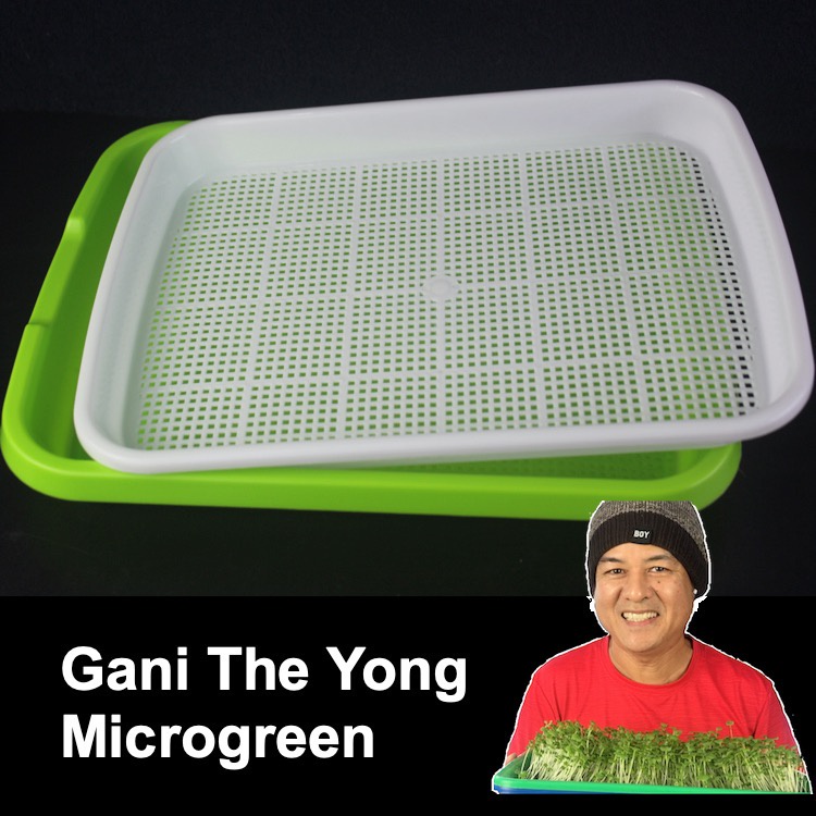 Tray Microgreen