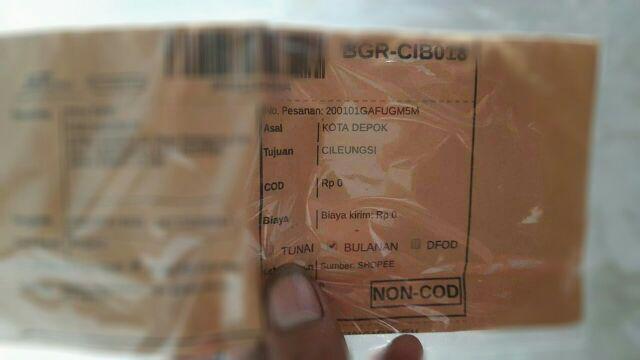 Benih-bibit Cabe Hias Uchu Cream (haira Seed)