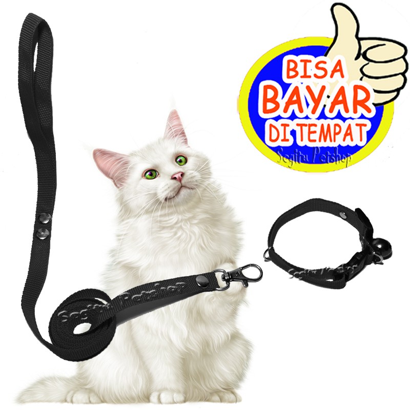 TALI KUCING PLUS KALUNG DI LEHER MODEL O TALI KUCING TALI MONYET TALI MUSANG TALI KELINCI DAN ANAK ANJING UKURAN ALL SIZE