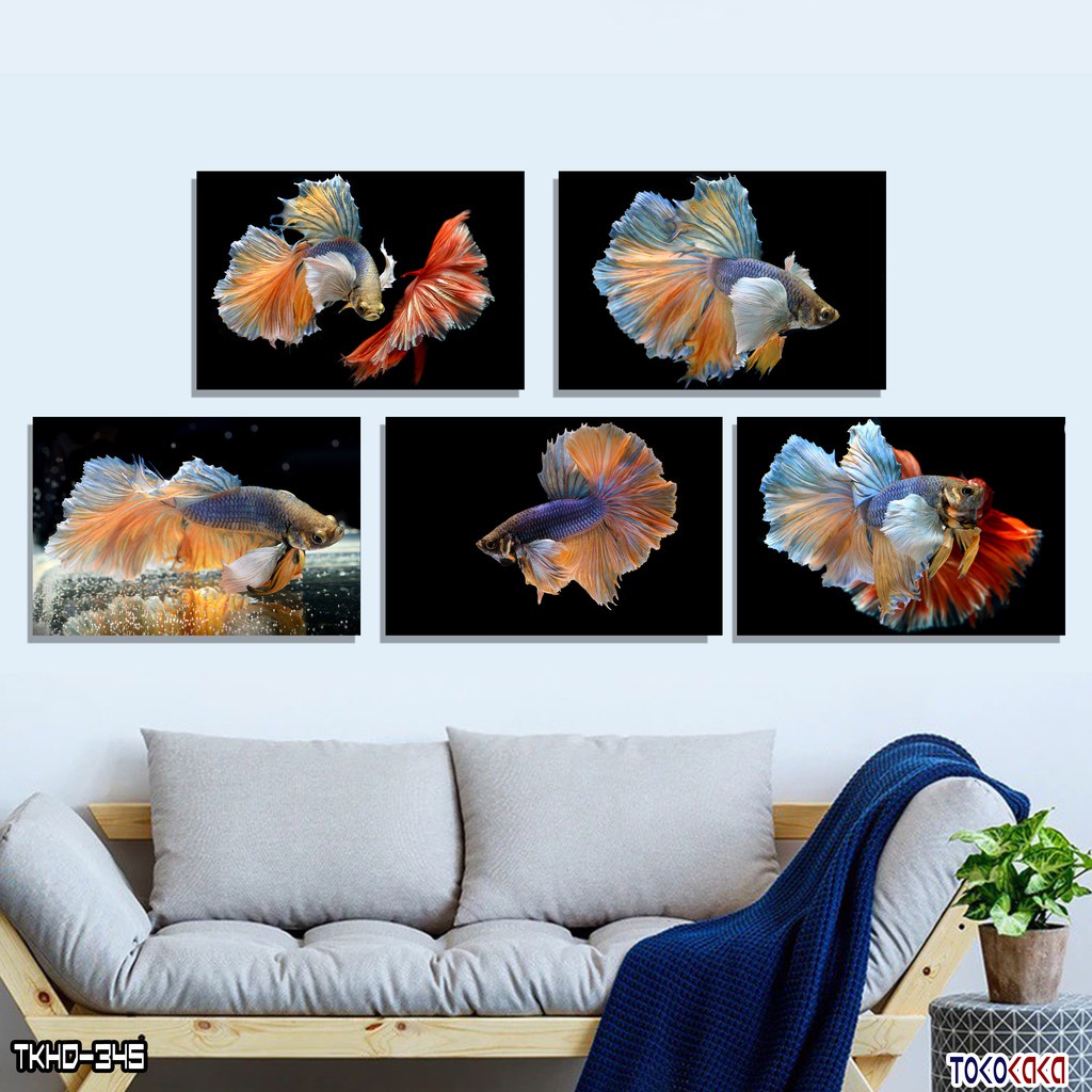 Toko Kaka Wall Decor Betta Fish Hiasan Dinding Ikan Cupang Betta Cantik Poster Ikan Cupang