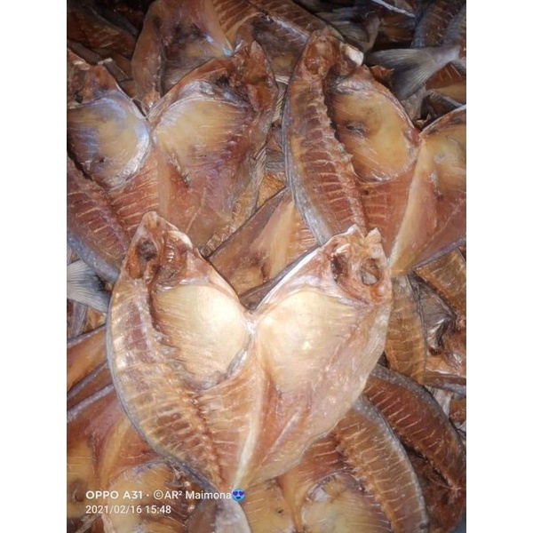 

ikan manengseng