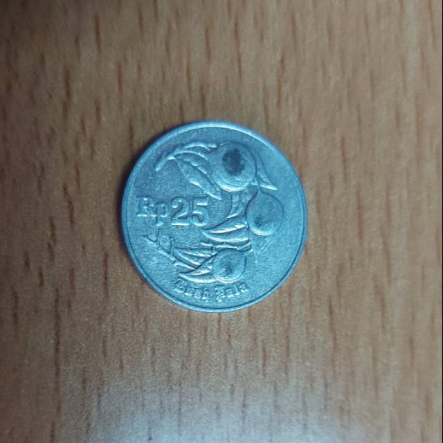 Uang logam 25 rupiah th 1996