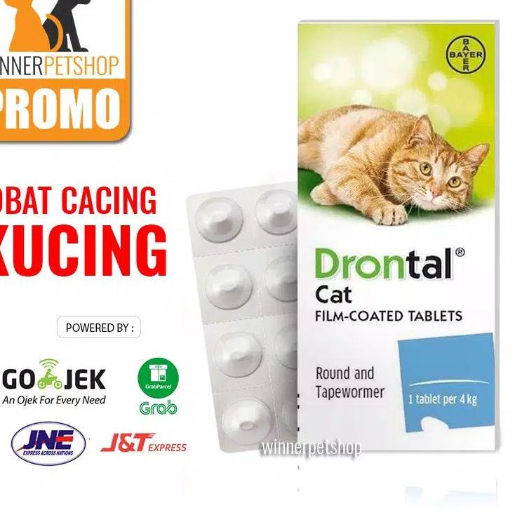 ♪ Drontal cat - 1 tablet ☏